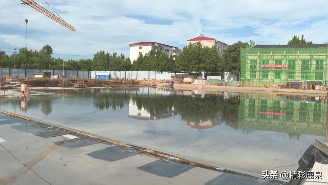 撸起袖子加油干成绩单,撸起袖子加油干努力工作