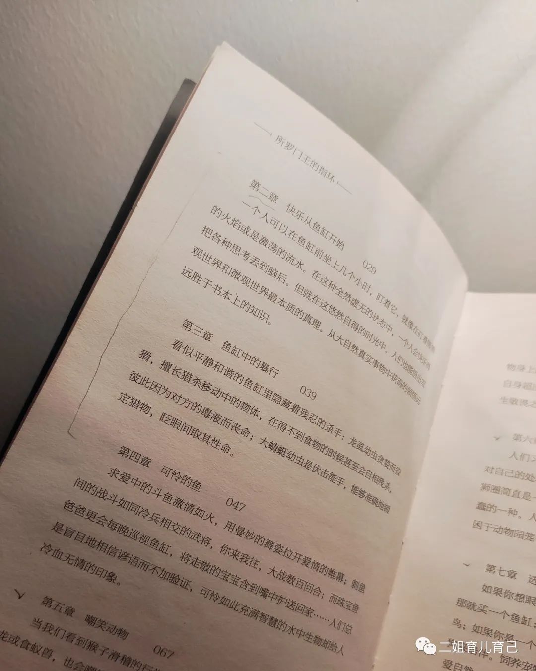 所罗门王和他的魔戒,所罗门王的魔戒的第七个谜题