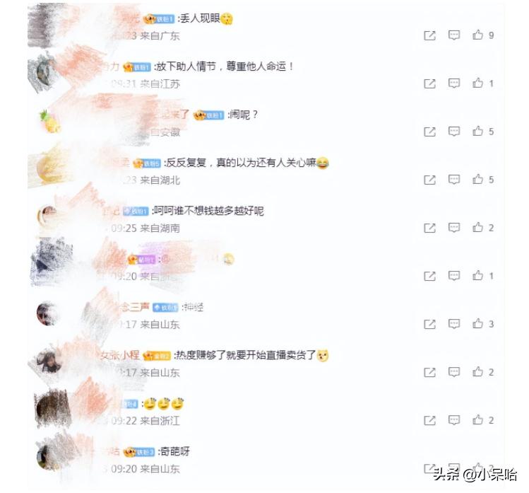 洪欣当年在娱乐圈有多红,洪欣为什么没火了