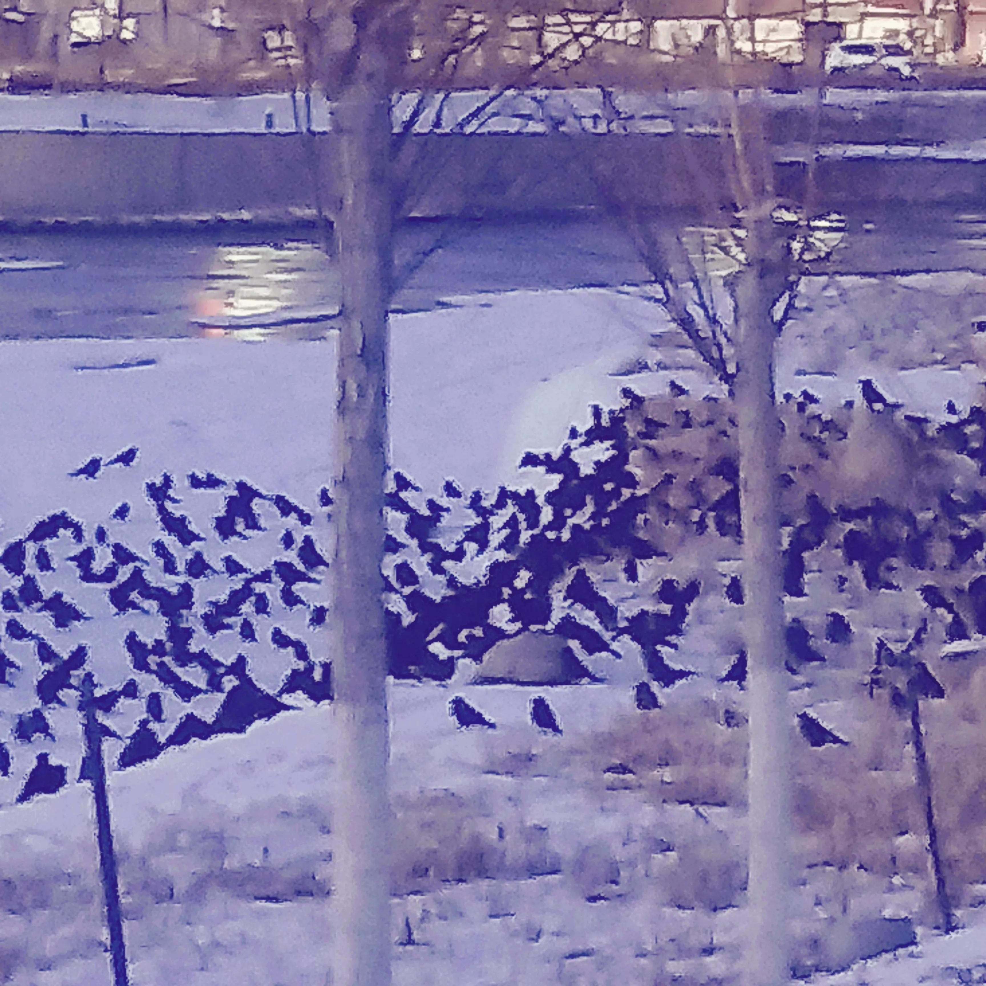 你知道密集恐惧症是什么吗,身体上的密集恐惧症