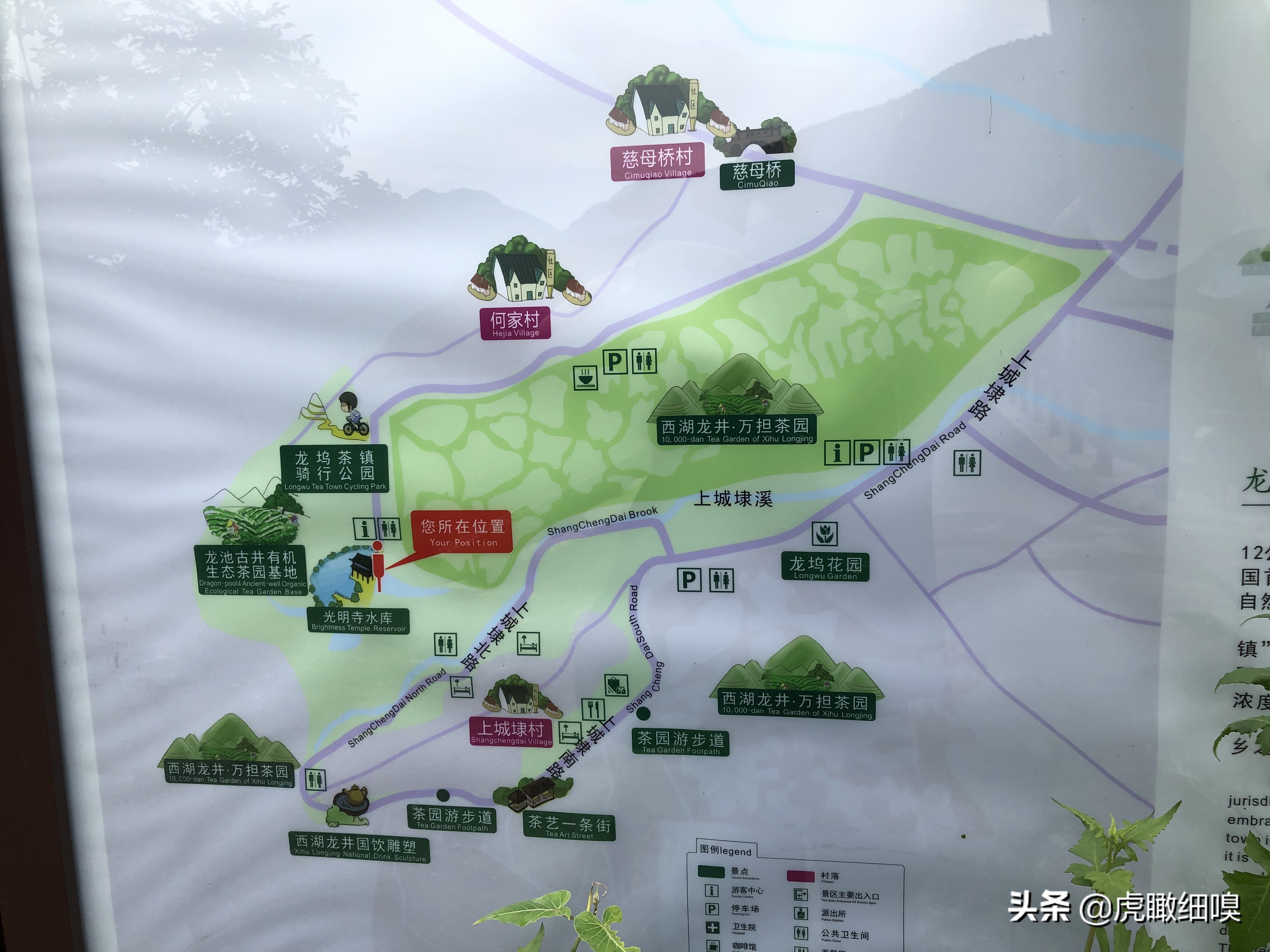 杭州最有名的茶旅,杭州盛产茶的地方有哪些