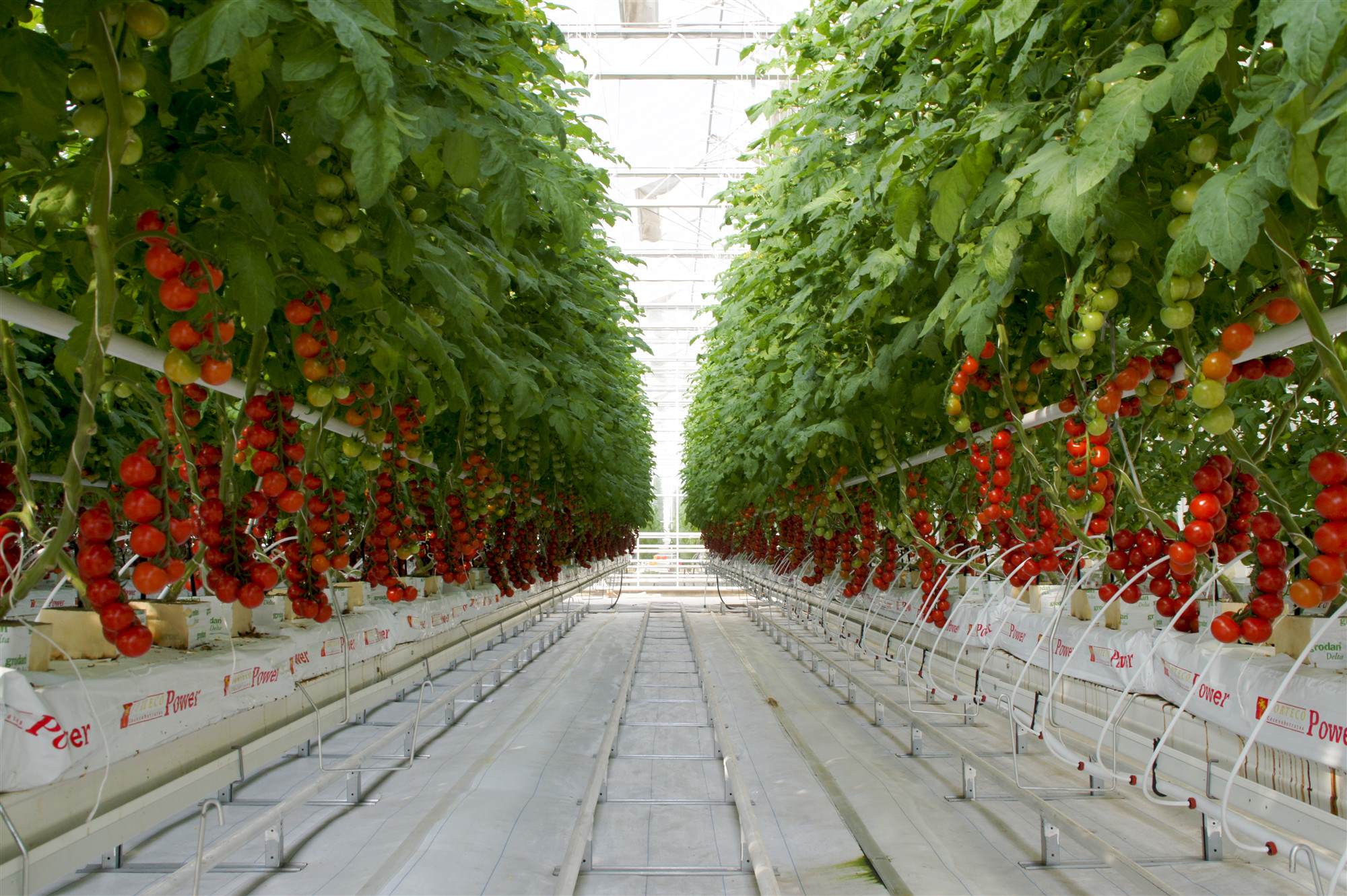 推进创新创业助力乡村振兴,聚力创业创新助力乡村振兴