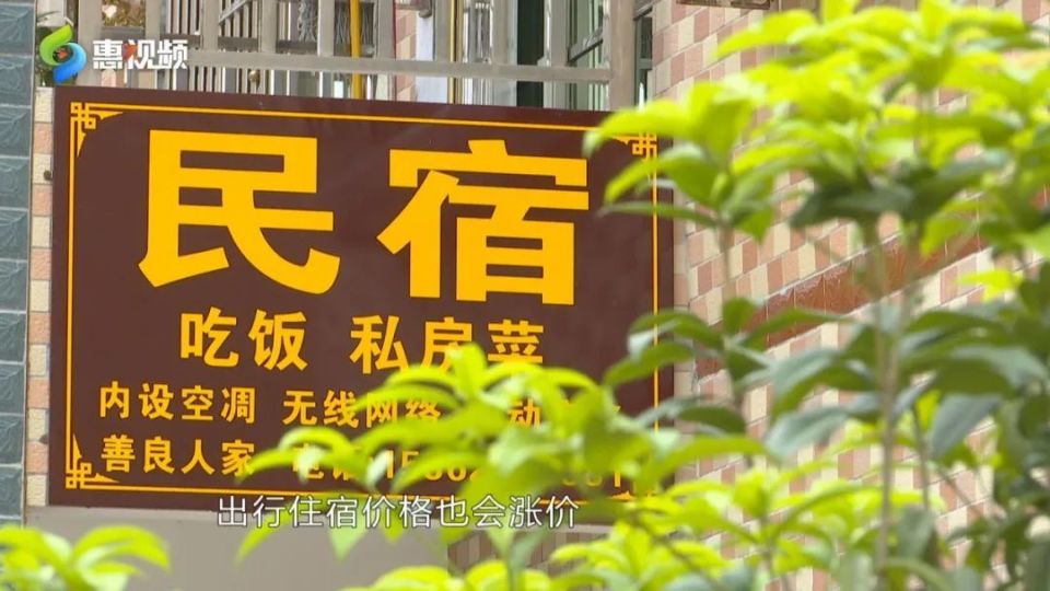 惠州大降价,惠州特价旅游