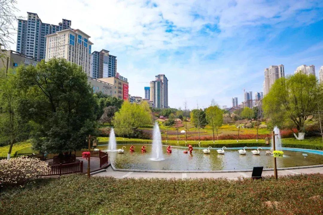 骑行打卡景点,湿地骑行观风景