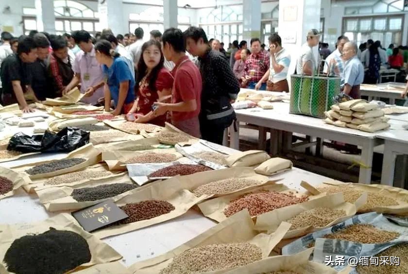 缅甸国际贸易最新政策 (缅甸贸易司最新新闻)