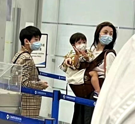 张柏芝被宠物狗咬脸,张柏芝小儿子受伤