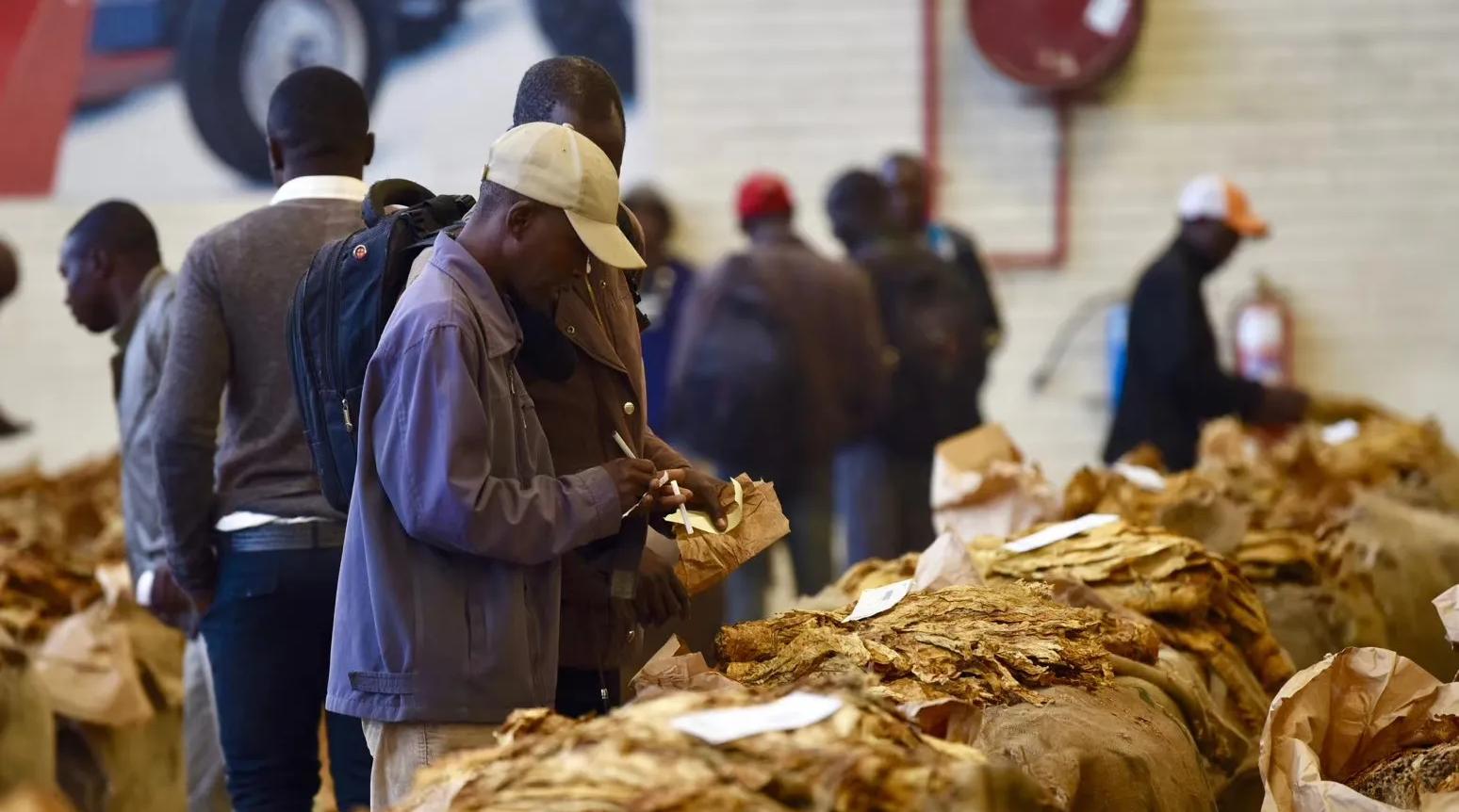 抽几块钱的烟和15块的烟有区别吗,10元的烟和100的烟哪个更伤身体