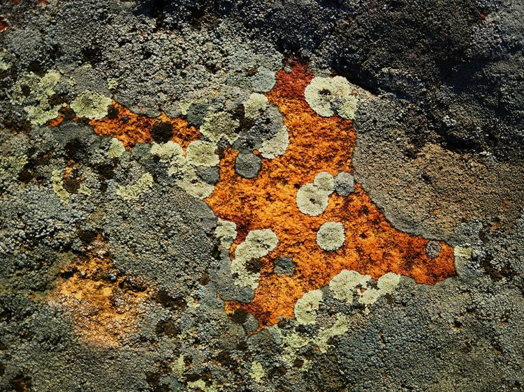 旅顺城山,旅顺城山怎么绕过去