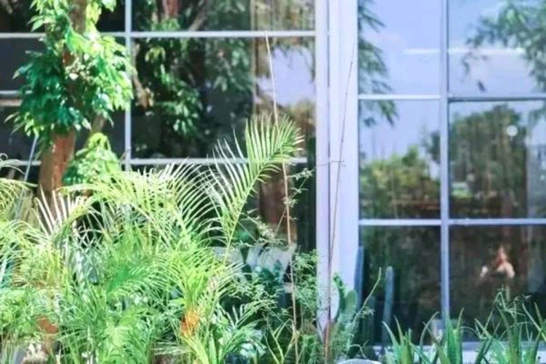 招财摆设应放在屋里哪个方向旺财,西北方位放什么招财摆件好