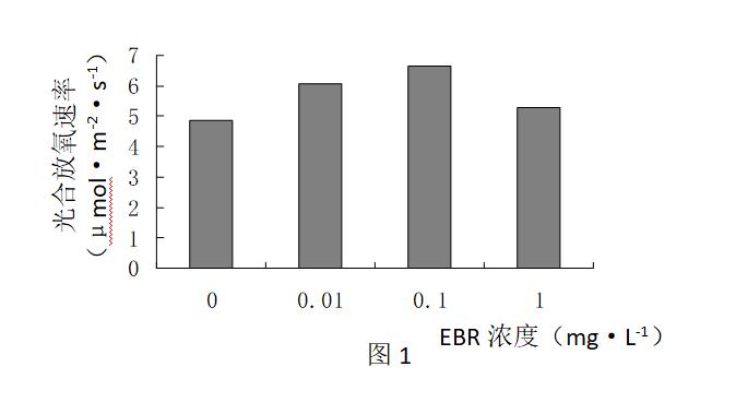 高中生物细胞代谢产生什么物质,高中生物细胞代谢视频