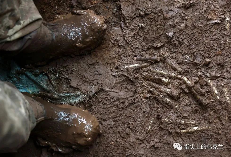 俄乌战争第400天,俄乌战争6号攻势