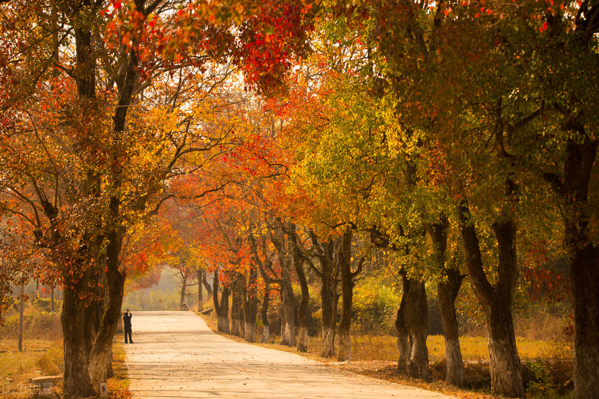 热门成语励志作文素材摘抄,素材积累高中议论文带成语