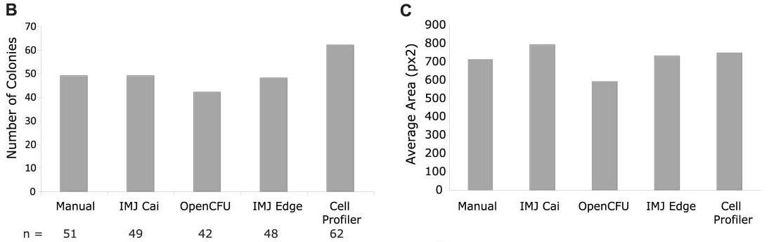 毛滴虫的营养源,毛滴虫营养源是什么