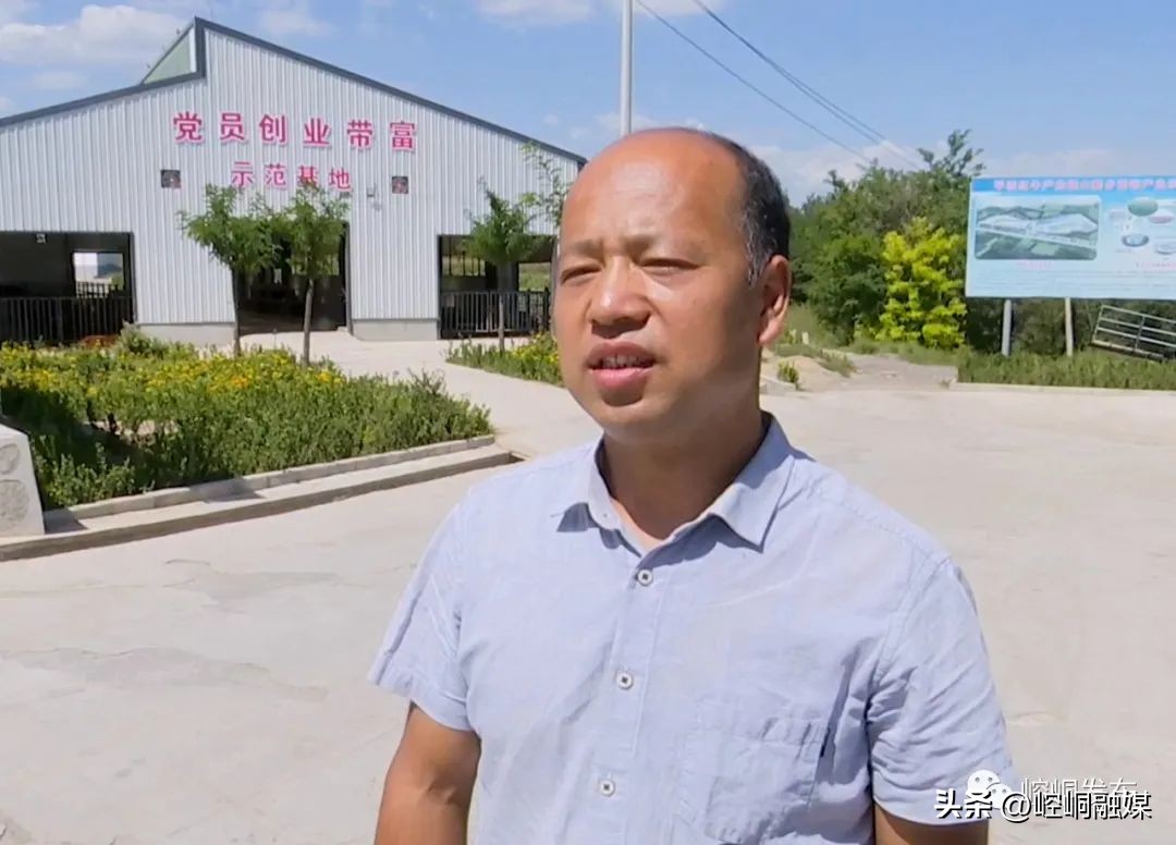 “我们这十年”丨崆峒：“畜”势勃发“牧”歌欢唱