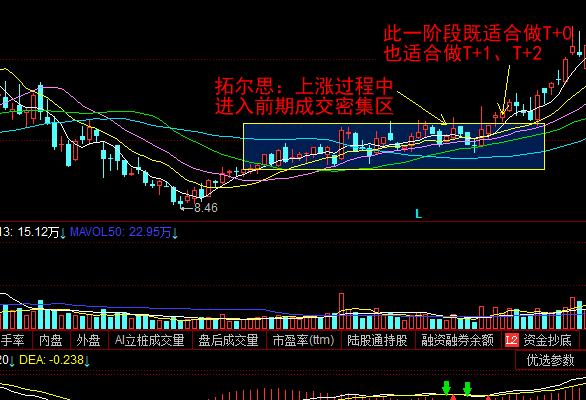 做t最简单有效的指标,实战派战法