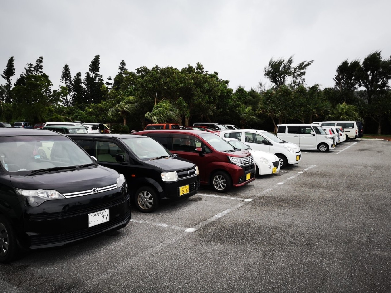 暑期档2019年,2019年暑期档