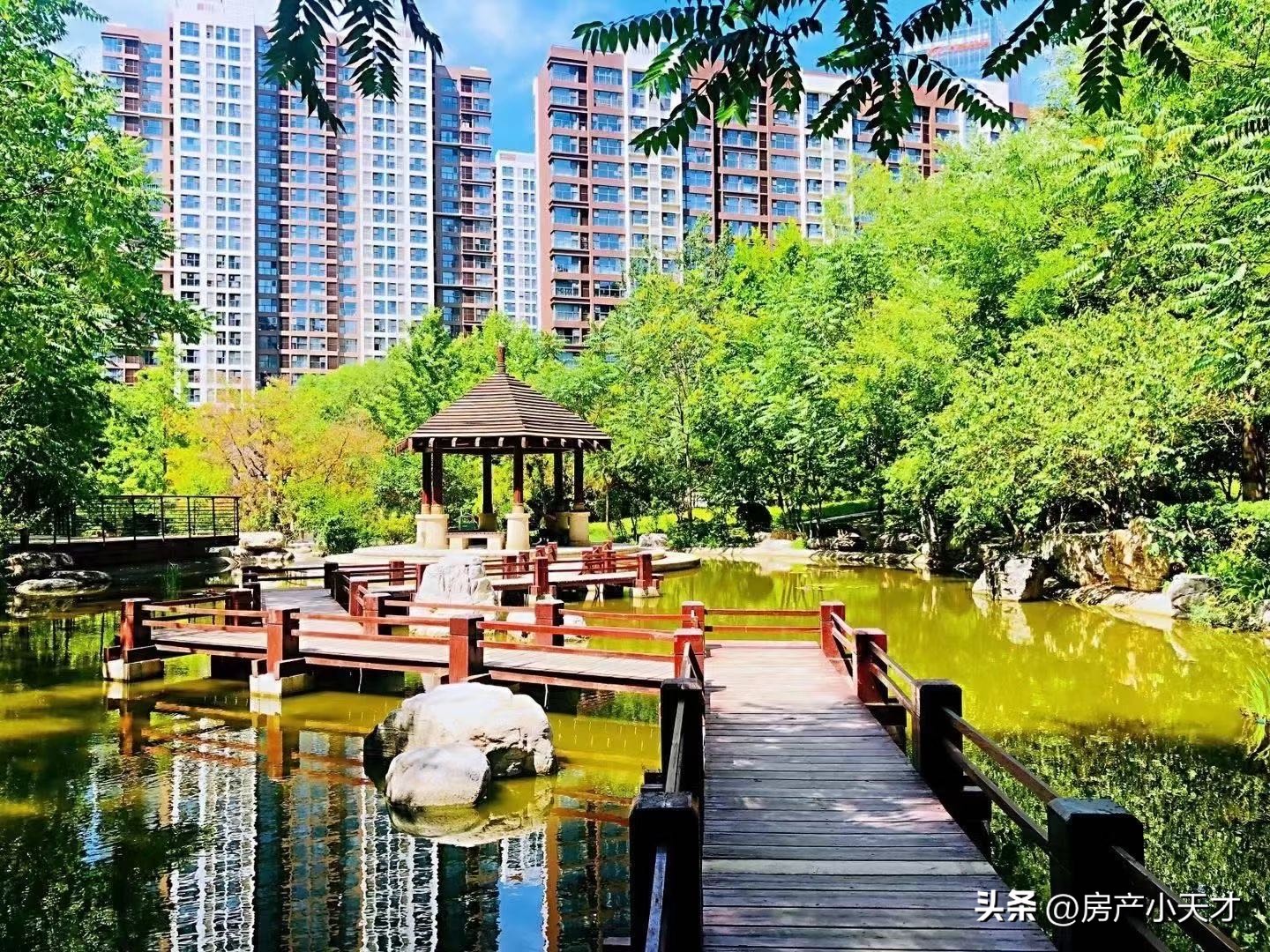 北京.望京十大富人小区