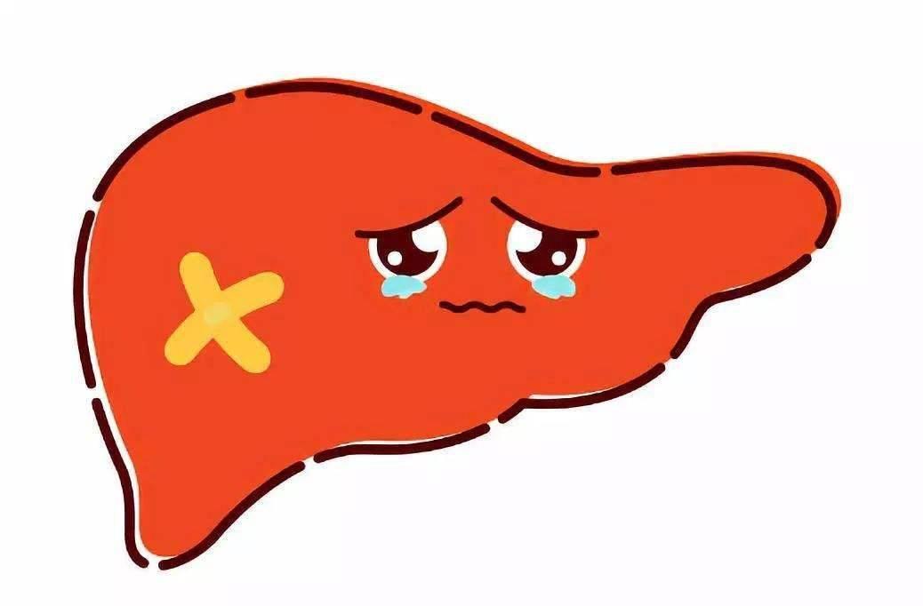 肝功能异常吃什么水果最好,肝功能不好的人有哪些水果不能吃