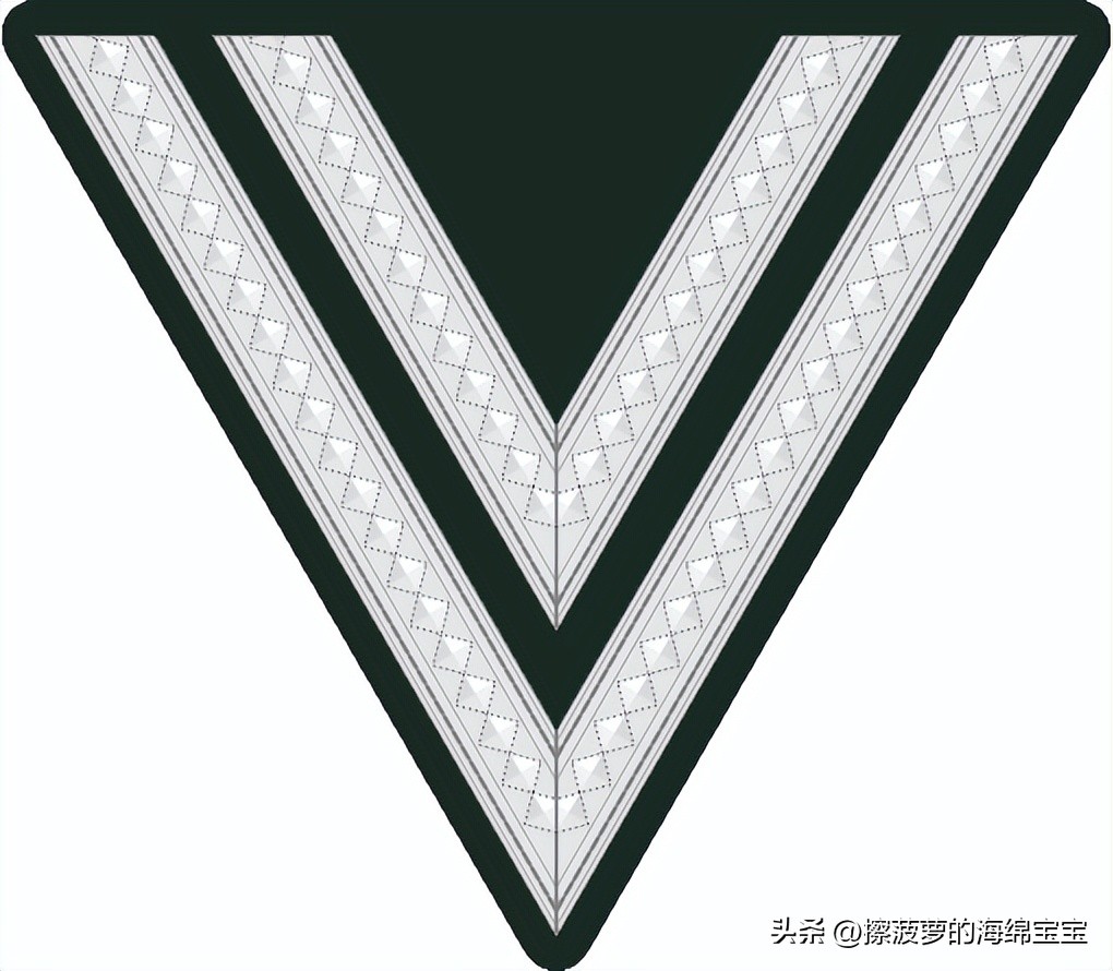 二战德国国防军医疗兵军衔标志