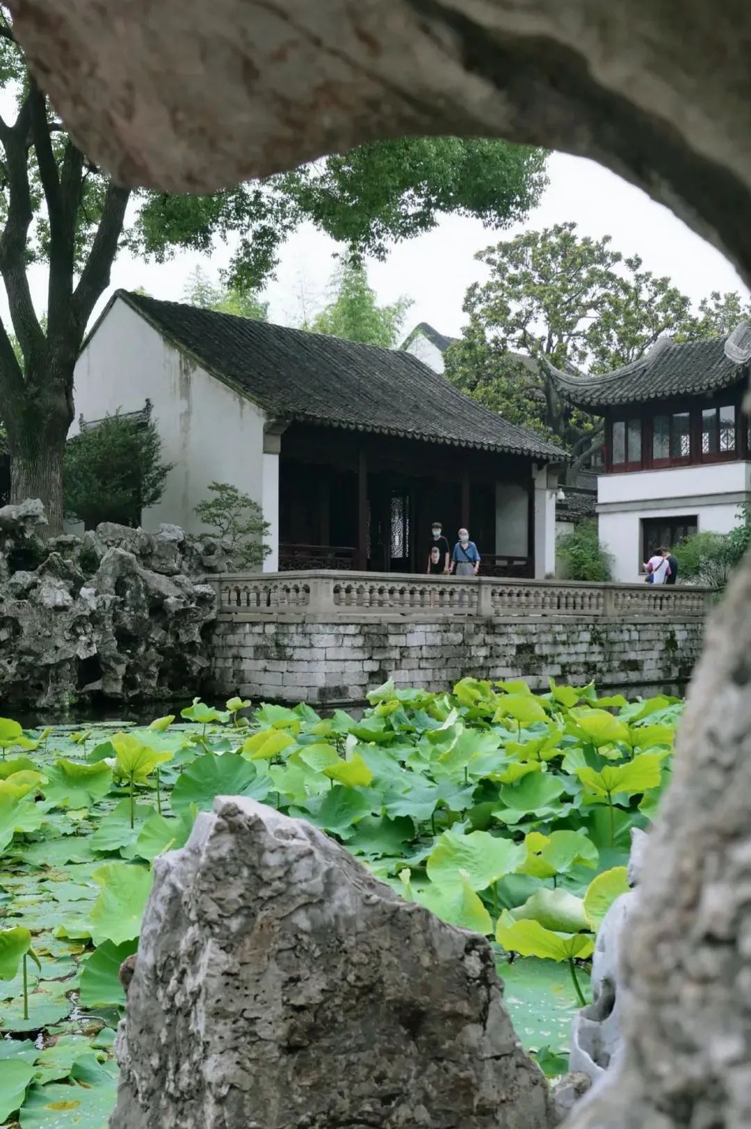 江南最美的城市,江南最好的风景城市