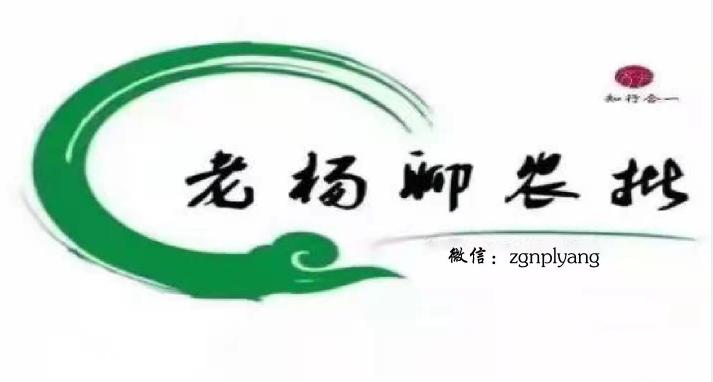 疫情过后中国电商走势如何,武汉新建农产品批发大市场