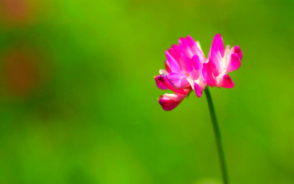 摩羯座的忍耐底线究竟有多少,摩羯座有什么不能触碰他们的底线