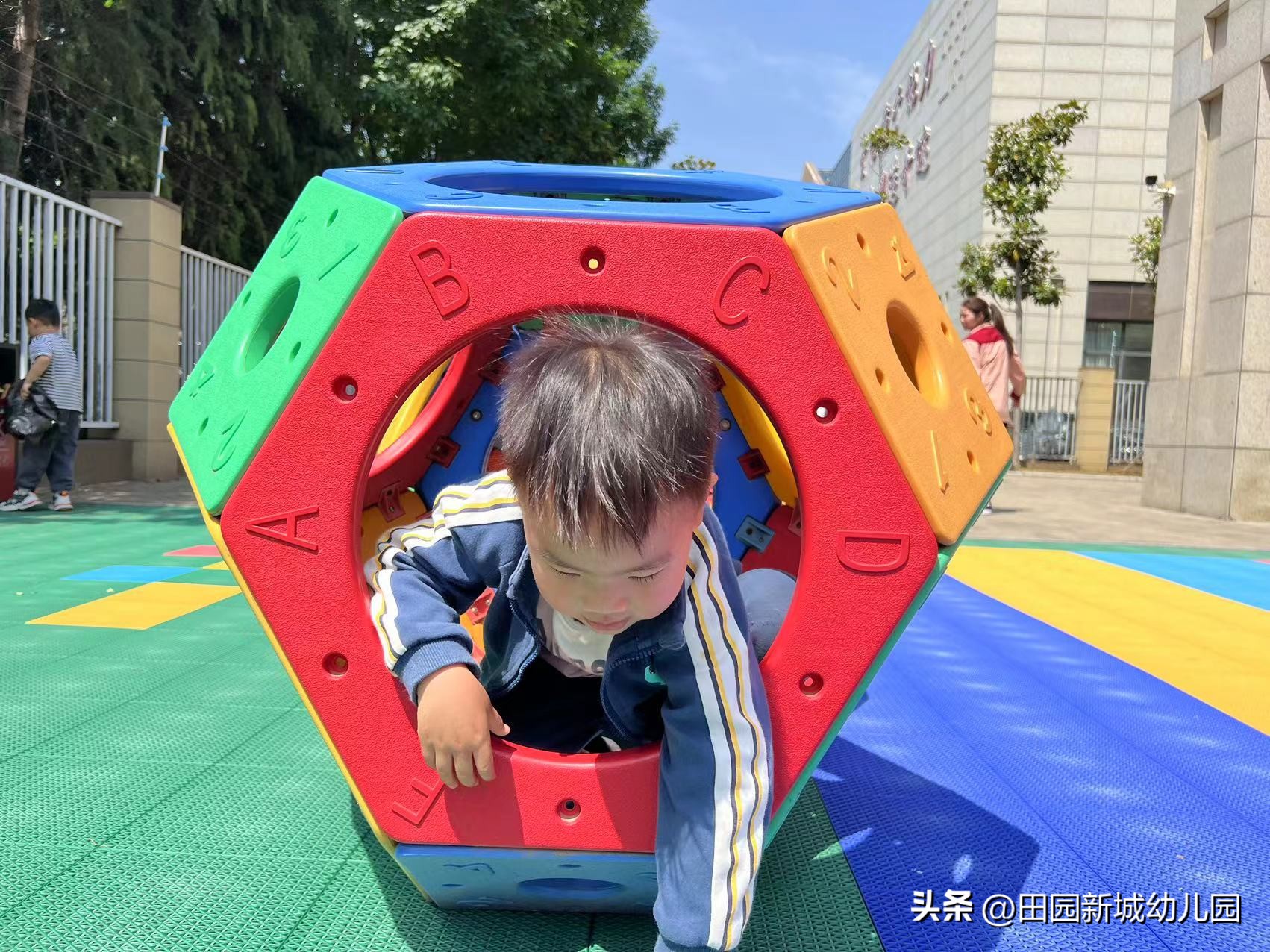 课程故事乌龟大班,嗨小鸭课程故事