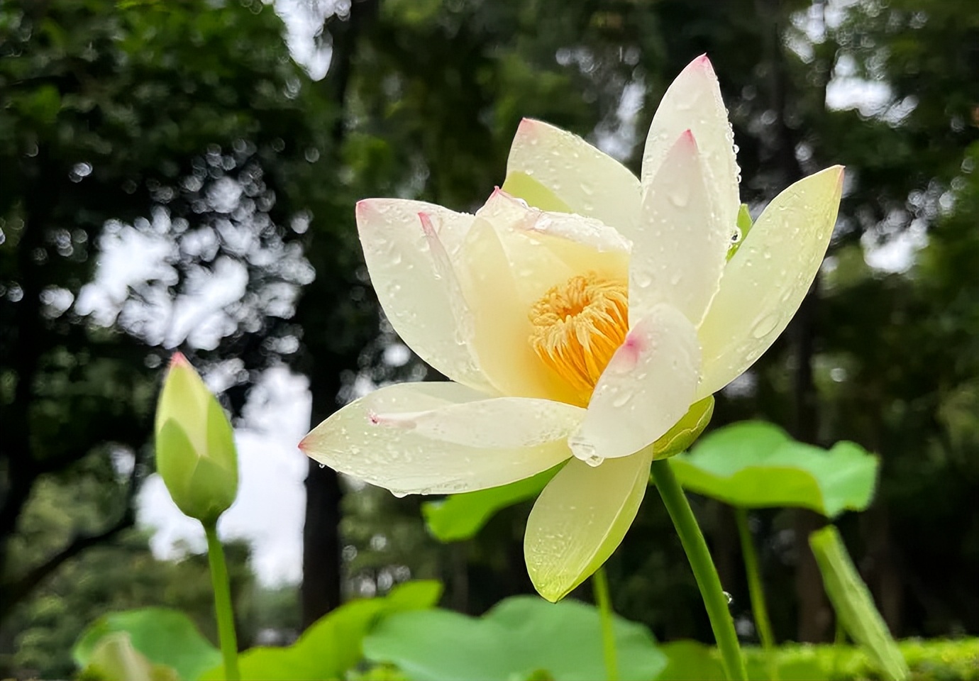 遇到心眼坏的人怎么办,心眼坏的人关心你的隐私和秘密