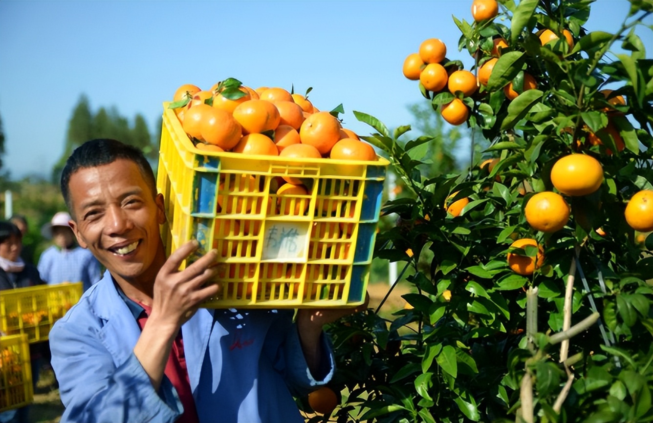 九个现代农业最佳致富项目,农业生财有道致富好项目