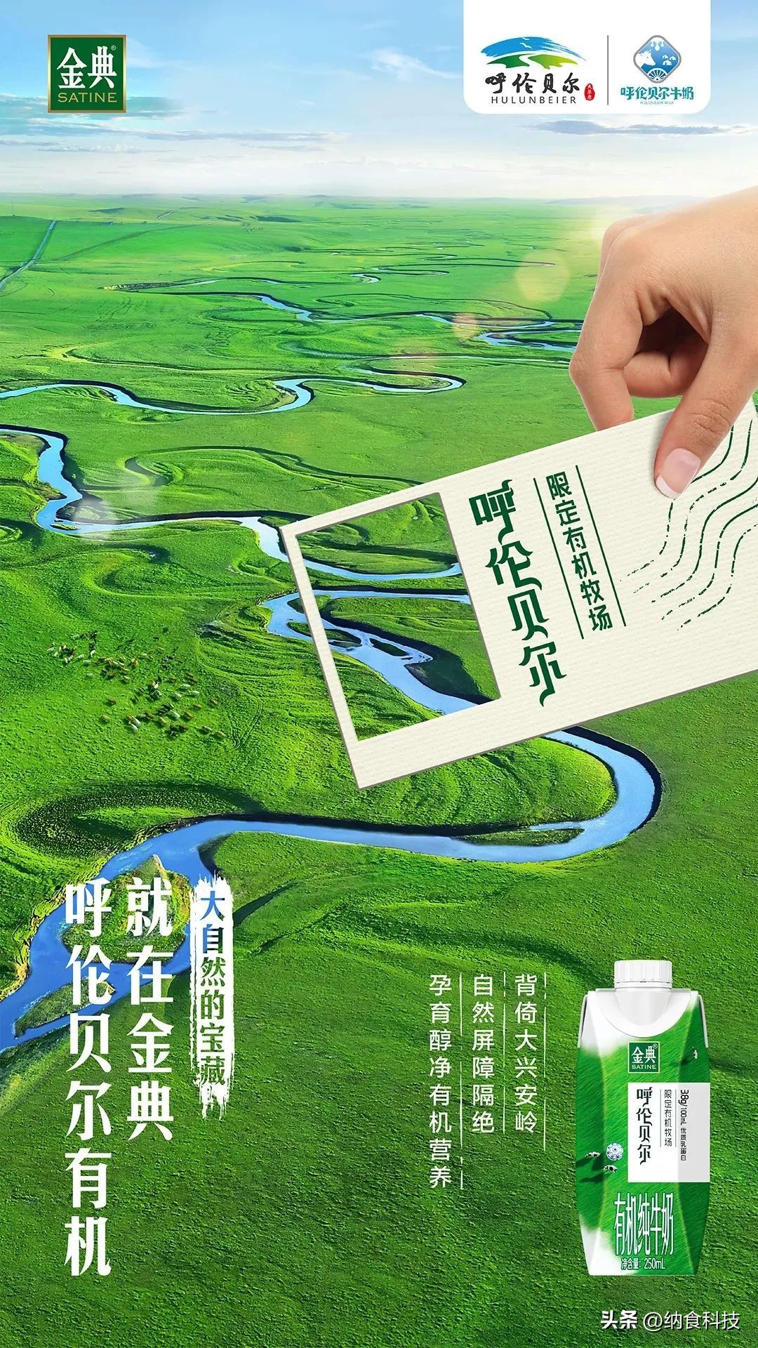 金典限定呼伦贝尔有机纯牛奶卖点,金典有机呼伦贝尔牛奶卖点