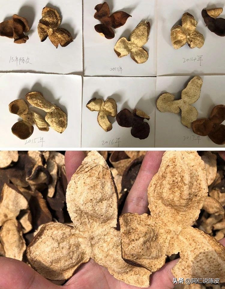 新会陈皮的真相,新会陈皮辨别真假