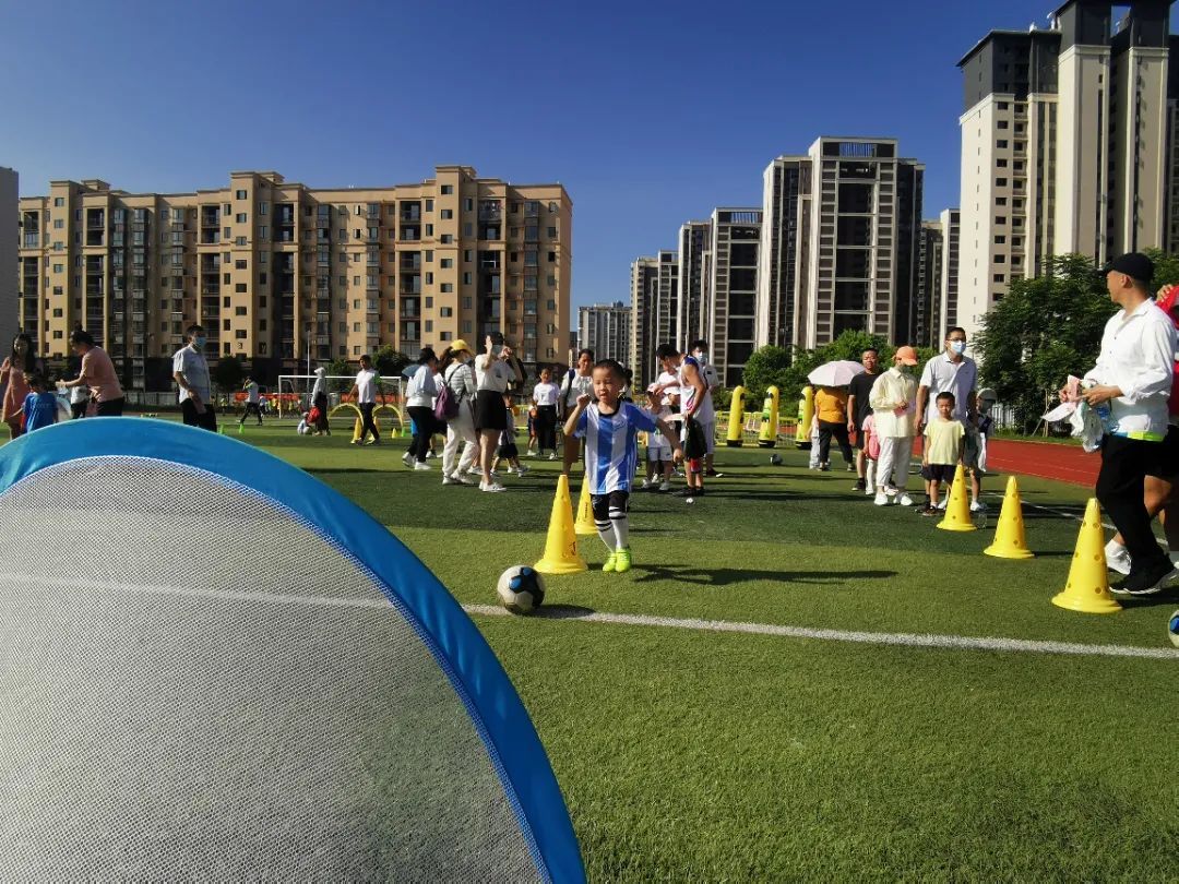 派迪茵体育产品,派迪茵体育直播