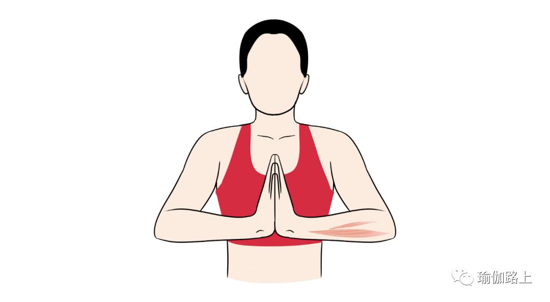 减手臂拜拜肉最有效的运动视频,坐着减手臂拜拜肉