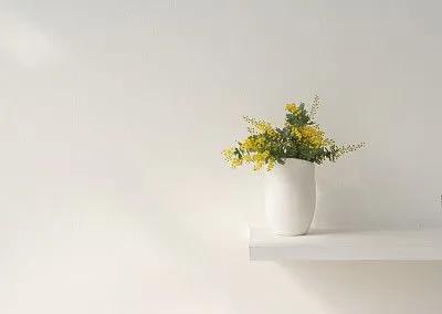 情商比智商更重要,情商比智商更重要吗英语作文