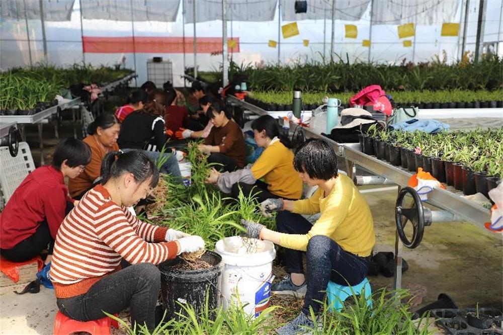 鍥藉叞绉嶈嫍,灞变笢鍥藉叞绉嶈嫍