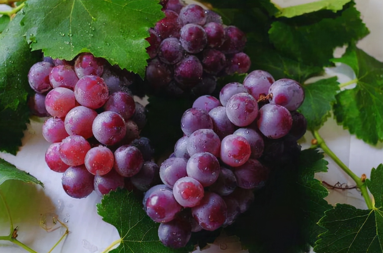 抗皱纹的天然食物,可以防止皮肤皱纹生成的食物