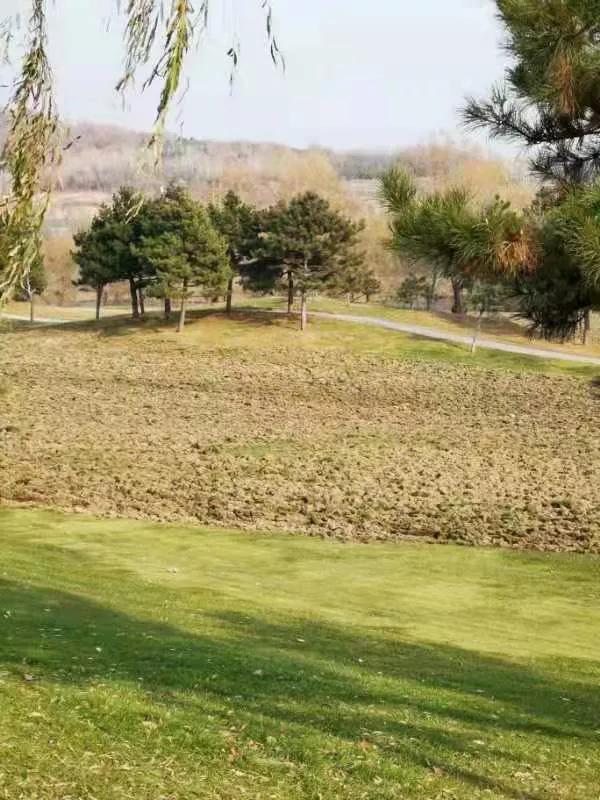 营口思拉堡温泉小镇违建别墅,盖州思拉堡温泉小镇违建