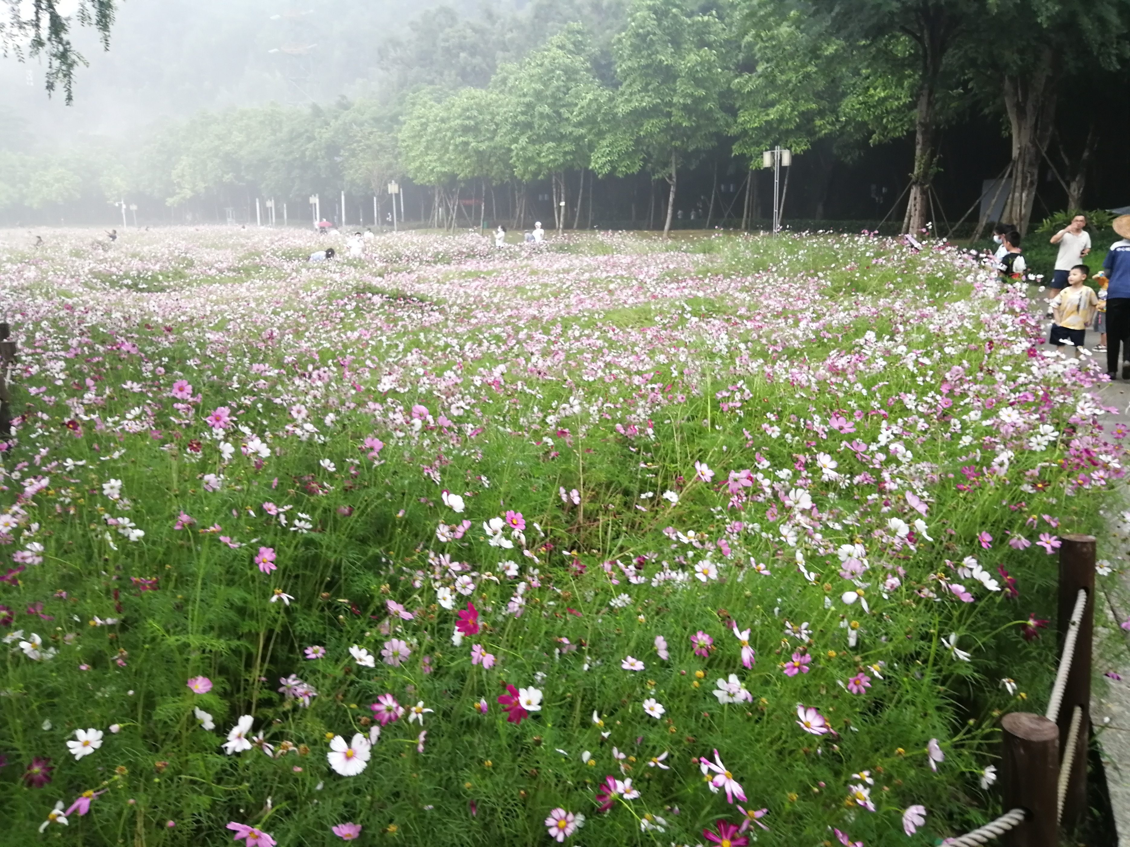 打卡广州地铁7号线,打卡广州最美7公里