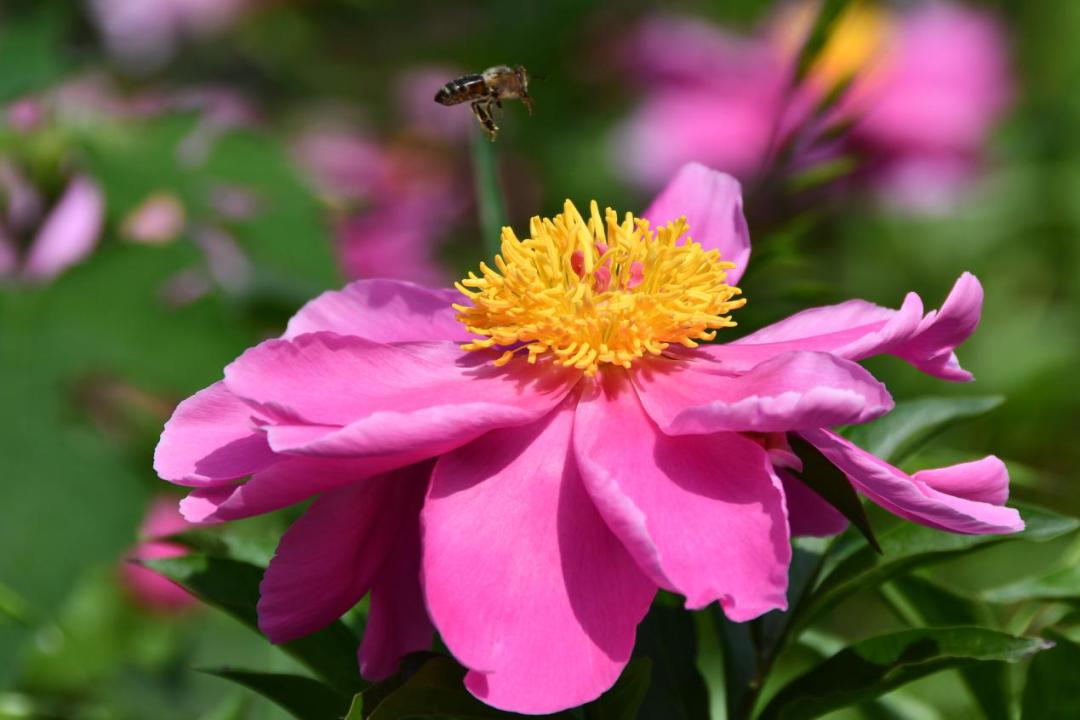 许昌人周末游玩,许昌人去哪景区免门票