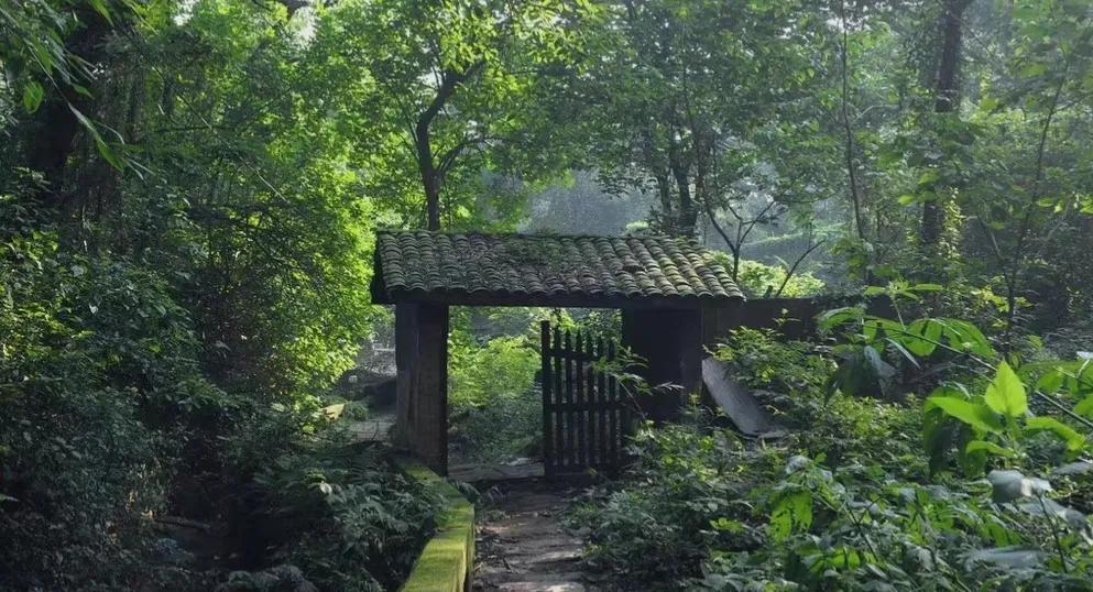 中庸智慧精华解析,中庸之道是先圣先贤的智慧结晶