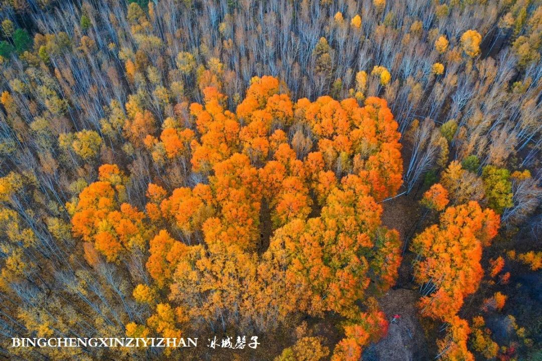 秋天大兴安岭最美的地方,秋天美丽的大兴安岭