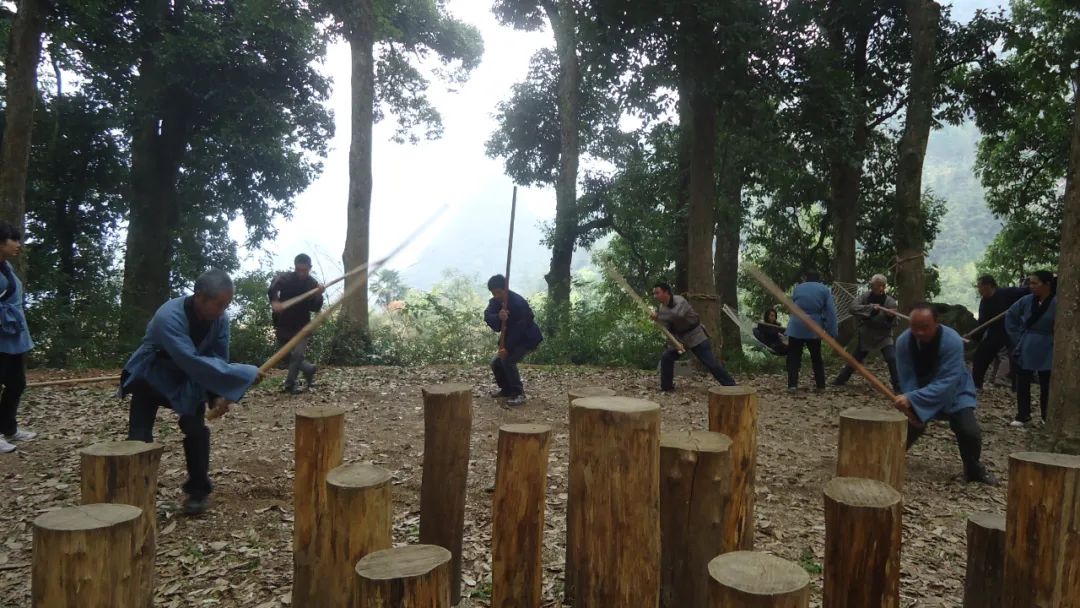 在地之韵|遂昌人人都会功夫？你一定看了茶园武术吧