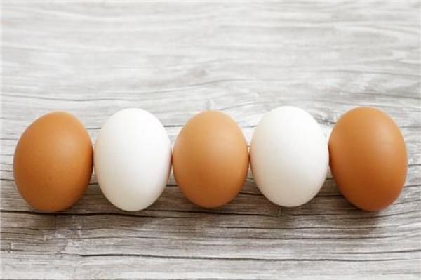 黑壳鸡蛋和白壳鸡蛋的区别,深色壳鸡蛋和浅色蛋壳哪个有营养