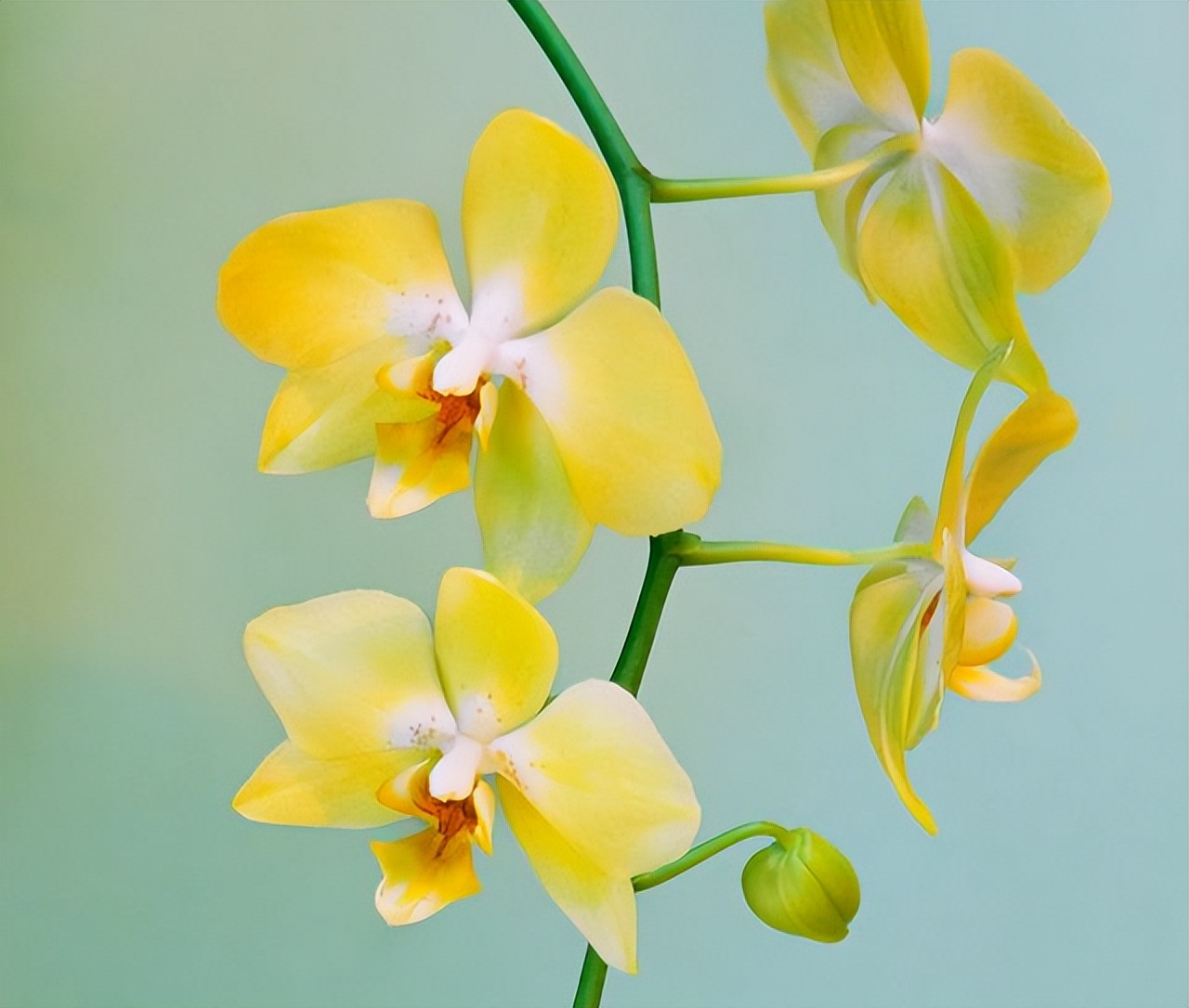 拥有超强直觉能力的三大星座,具有超强洞察能力的星座