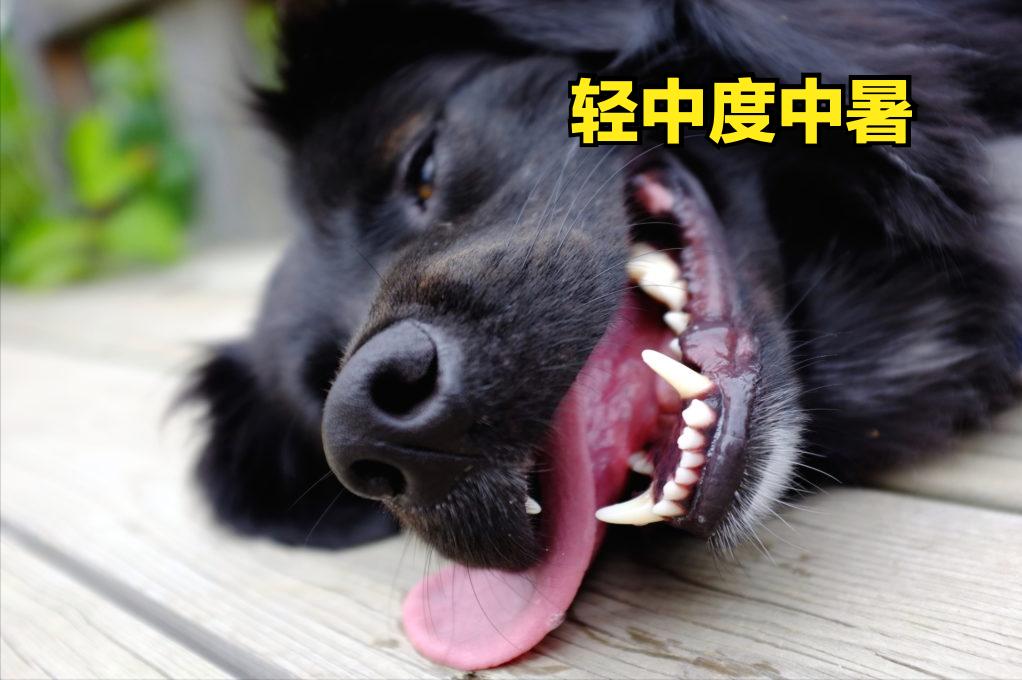 炎炎夏日中暑如何急救,炎炎夏日中暑