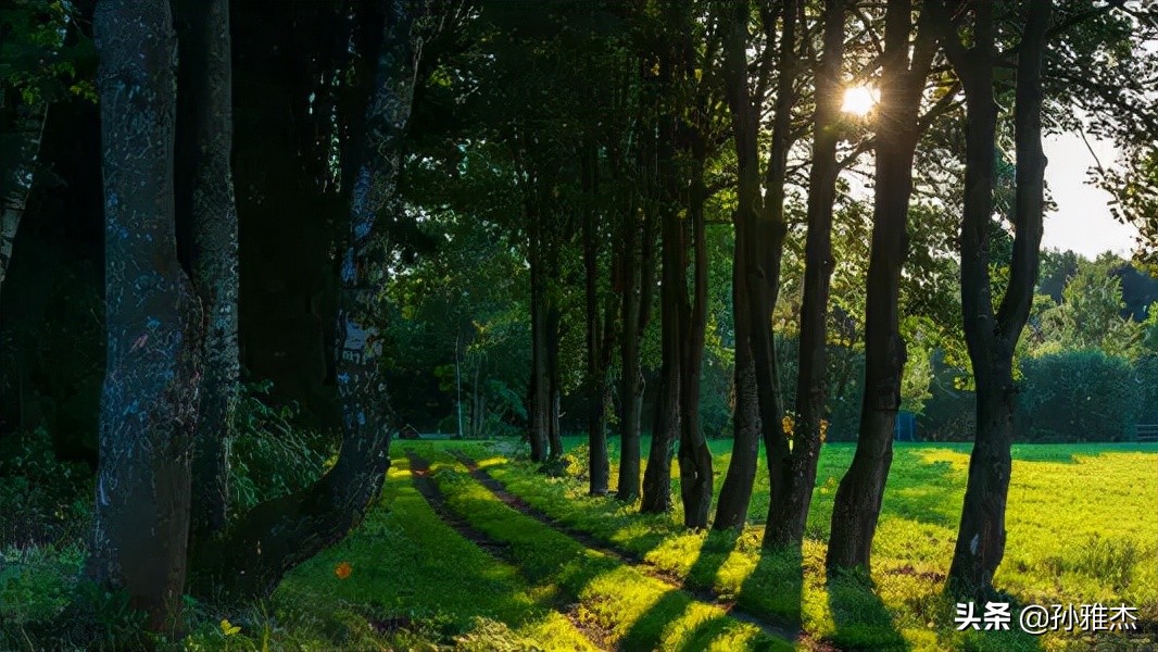 年金保险建议买吗,平安保险公司的年金建议买吗