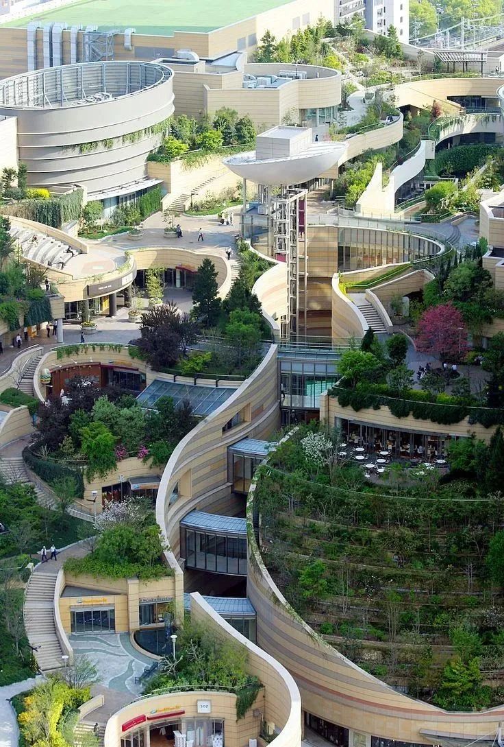 大学校园绿化设计,现代校园绿化规划设计