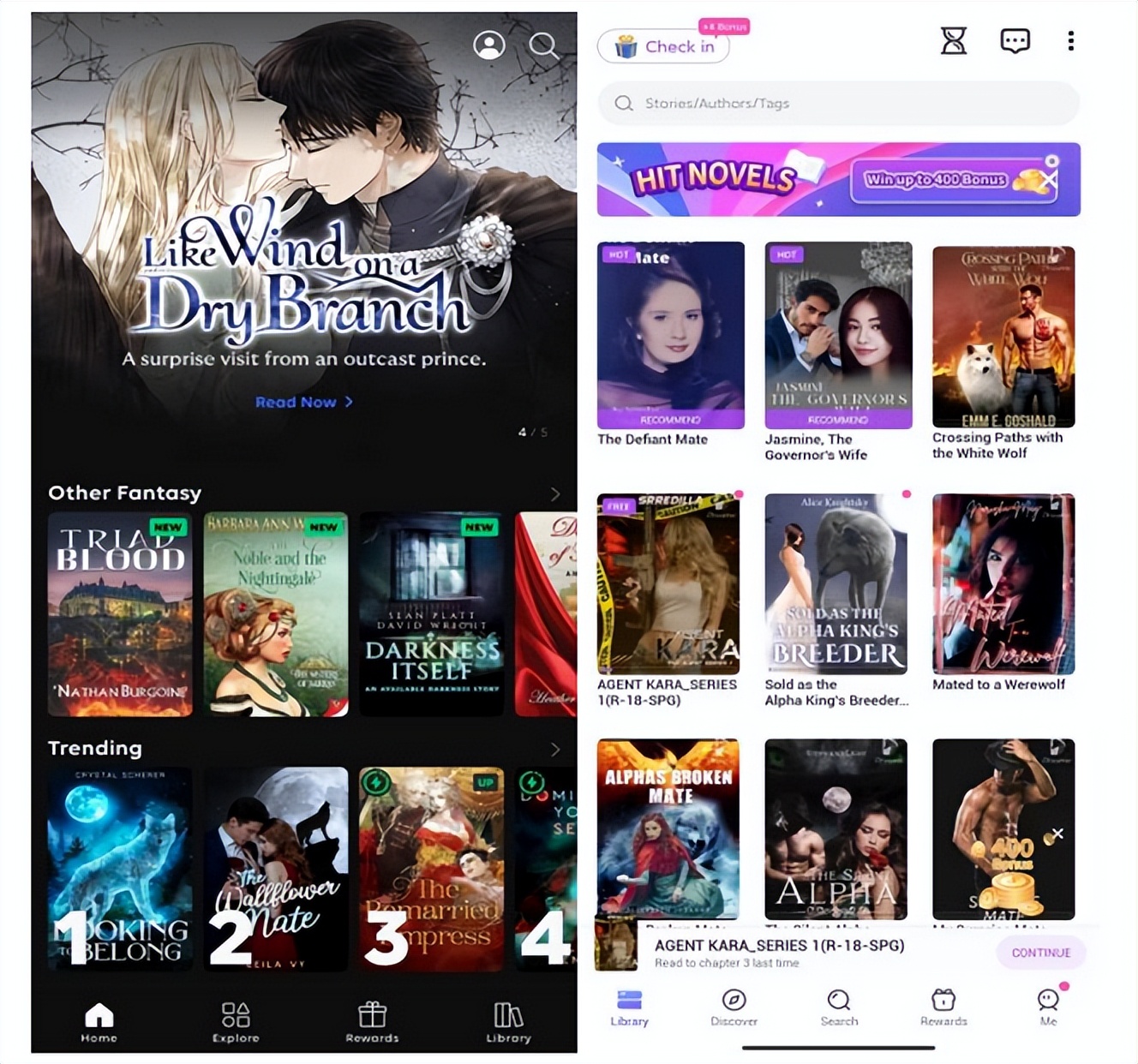 tiktok在国外有多火小说,tik卖书