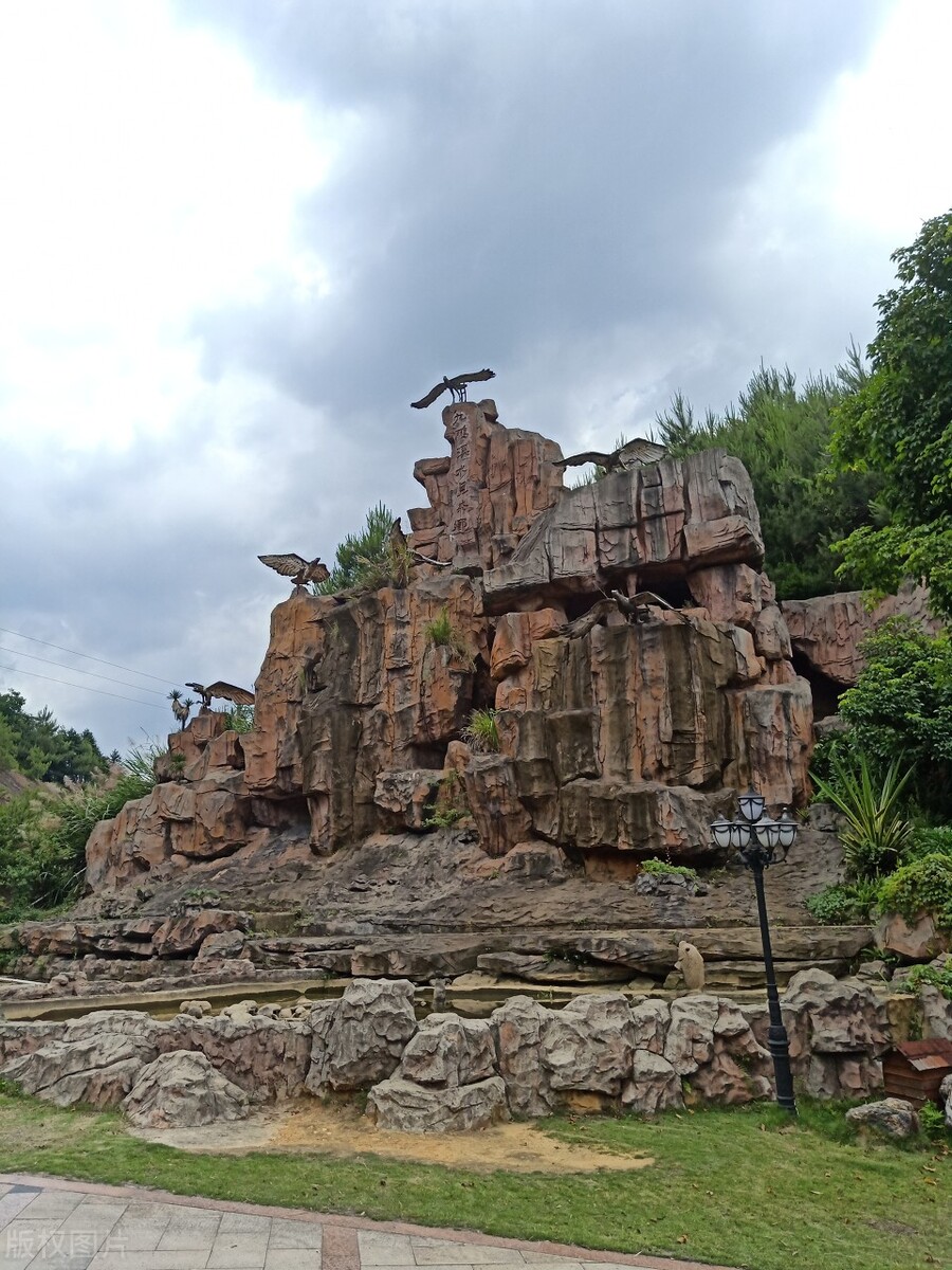 福建浪漫樱花打卡地,福建赏樱花的地方