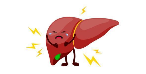 家用大功率绞肉机安全注意事项,使用绞肉机安全提示